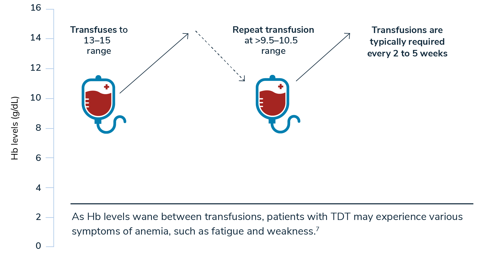 Thalassemia Blood Transfusion